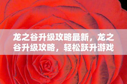 龙之谷升级攻略最新，龙之谷升级攻略，轻松跃升游戏巅峰