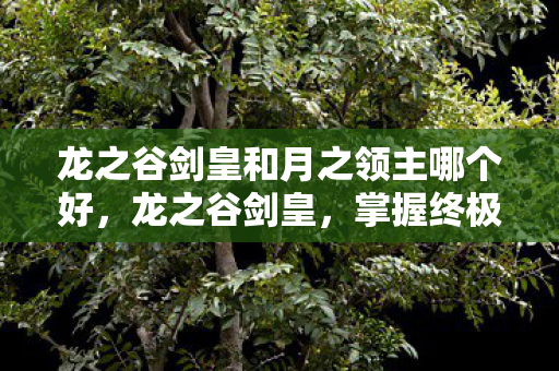 龙之谷剑皇和月之领主哪个好，龙之谷剑皇，掌握终极力量的传奇英雄