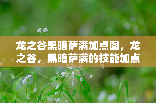 龙之谷黑暗萨满加点图,龙之谷,黑暗萨满的技能加点策略 龙之谷黑暗萨满加点图,龙之谷,黑暗萨满的技能加点策略