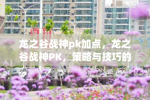 龙之谷战神pk加点，龙之谷战神PK，策略与技巧的深度解析