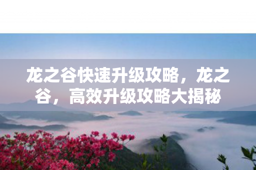 龙之谷快速升级攻略，龙之谷，高效升级攻略大揭秘