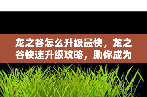 龙之谷怎么升级最快，龙之谷快速升级攻略，助你成为顶尖玩家！