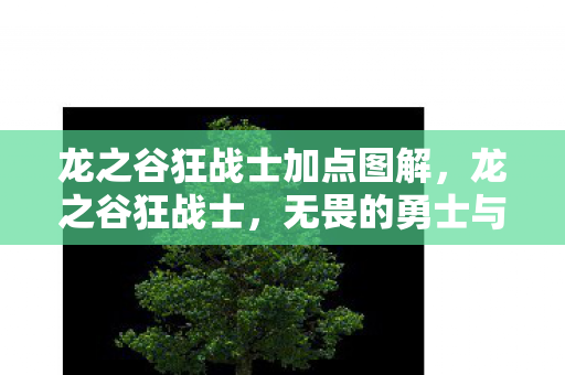 龙之谷狂战士加点图解,龙之谷狂战士,无畏的勇士与荣耀的征途 龙之谷狂战士加点图解,龙之谷狂战士,无畏的勇士与荣耀的征途