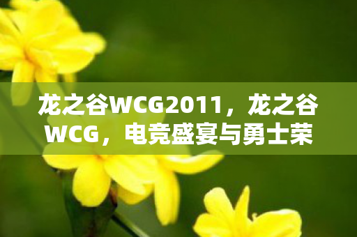 龙之谷WCG2011，龙之谷WCG，电竞盛宴与勇士荣耀的交汇点