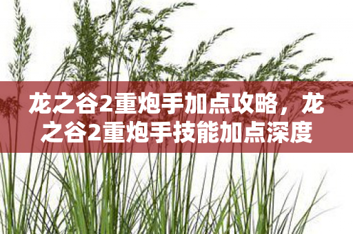 龙之谷2重炮手加点攻略，龙之谷2重炮手技能加点深度解析与攻略