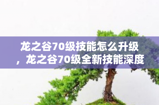 龙之谷70级技能怎么升级，龙之谷70级全新技能深度解析