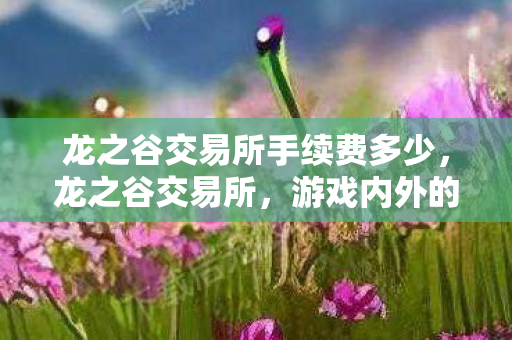 龙之谷交易所手续费多少，龙之谷交易所，游戏内外的经济交流与价值碰撞
