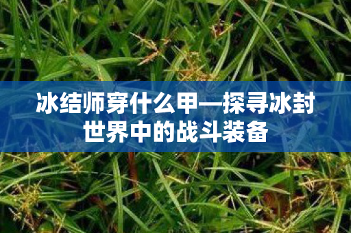 冰结师穿什么甲—探寻冰封世界中的战斗装备 冰结师穿什么甲—探寻冰封世界中的战斗装备