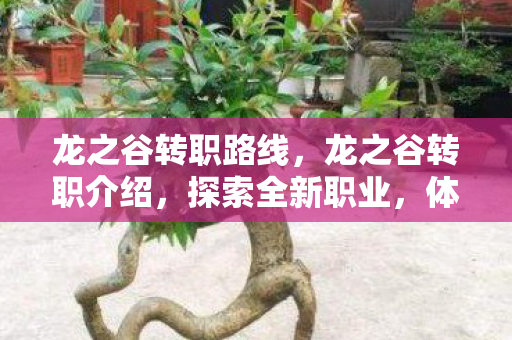 龙之谷转职路线，龙之谷转职介绍，探索全新职业，体验无尽冒险