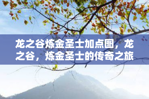 龙之谷炼金圣士加点图,龙之谷,炼金圣士的传奇之旅 龙之谷炼金圣士加点图,龙之谷,炼金圣士的传奇之旅