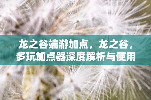 龙之谷端游加点,龙之谷,多玩加点器深度解析与使用指南 龙之谷端游加点,龙之谷,多玩加点器深度解析与使用指南