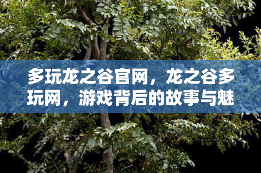 多玩龙之谷官网，龙之谷多玩网，游戏背后的故事与魅力