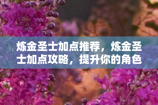 炼金圣士加点推荐，炼金圣士加点攻略，提升你的角色实力！