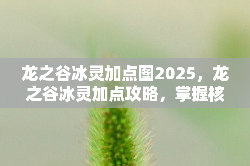 龙之谷冰灵加点图2025，龙之谷冰灵加点攻略，掌握核心技能，轻松提升战斗力