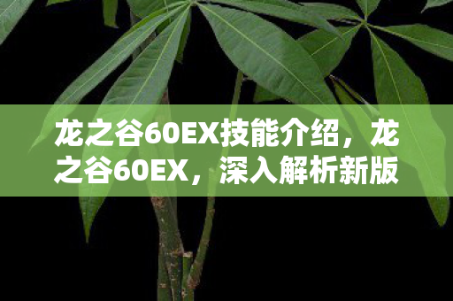 龙之谷60EX技能介绍，龙之谷60EX，深入解析新版本带来的变革与挑战