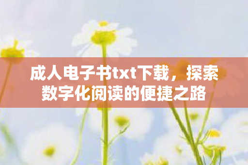 成人电子书txt下载，探索数字化阅读的便捷之路