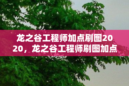 龙之谷工程师加点刷图2020，龙之谷工程师刷图加点攻略，打造高效输出机器