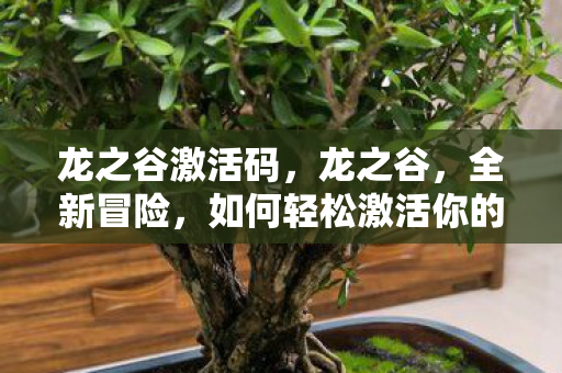 龙之谷激活码,龙之谷,全新冒险,如何轻松激活你的游戏之旅? 龙之谷激活码,龙之谷,全新冒险,如何轻松激活你的游戏之旅?