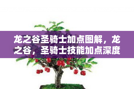 龙之谷圣骑士加点图解，龙之谷，圣骑士技能加点深度解析与攻略