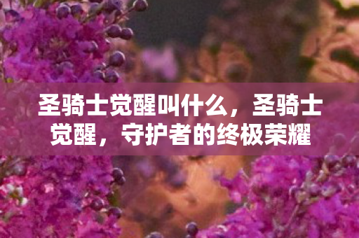 圣骑士觉醒叫什么,圣骑士觉醒,守护者的终极荣耀 圣骑士觉醒叫什么,圣骑士觉醒,守护者的终极荣耀