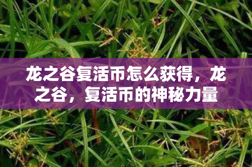 龙之谷复活币怎么获得，龙之谷，复活币的神秘力量