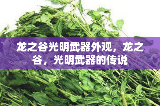 龙之谷光明武器外观，龙之谷，光明武器的传说