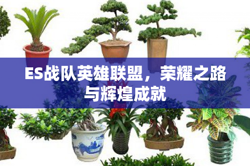ES战队英雄联盟，荣耀之路与辉煌成就
