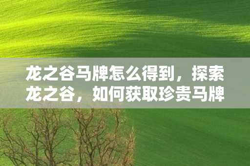 龙之谷马牌怎么得到,探索龙之谷,如何获取珍贵马牌—马牌获取攻略 龙之谷马牌怎么得到,探索龙之谷,如何获取珍贵马牌—马牌获取攻略