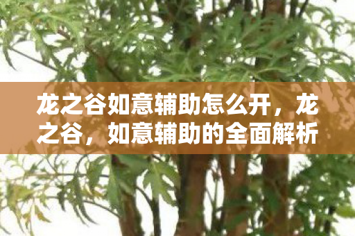 龙之谷如意辅助怎么开,龙之谷,如意辅助的全面解析 龙之谷如意辅助怎么开,龙之谷,如意辅助的全面解析