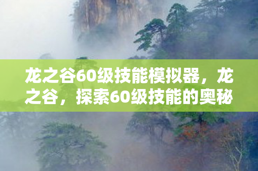 龙之谷60级技能模拟器，龙之谷，探索60级技能的奥秘