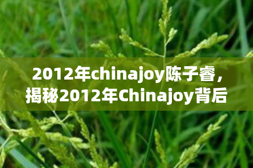 2012年chinajoy陈子睿，揭秘2012年Chinajoy背后的故事，一场游戏界的盛宴与未来展望
