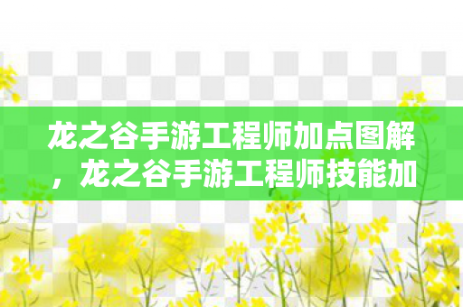 龙之谷手游工程师加点图解，龙之谷手游工程师技能加点攻略