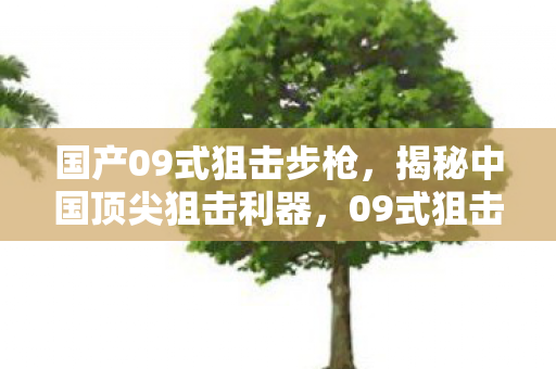 国产09式狙击步枪，揭秘中国顶尖狙击利器，09式狙击步枪的卓越性能与独特魅力