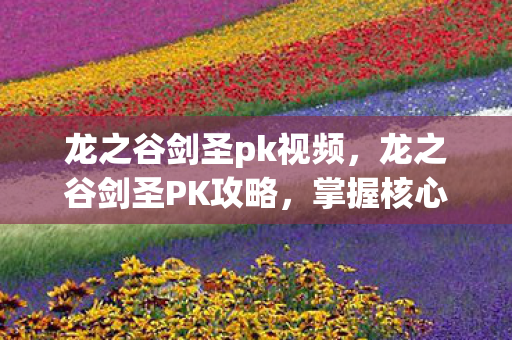 龙之谷剑圣pk视频，龙之谷剑圣PK攻略，掌握核心技巧，成为战场霸主