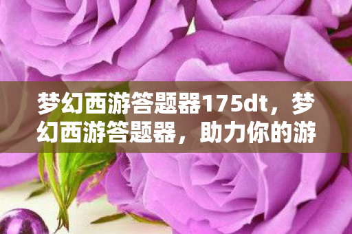梦幻西游答题器175dt，梦幻西游答题器，助力你的游戏智慧与乐趣共生