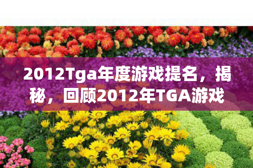 2012Tga年度游戏提名，揭秘，回顾2012年TGA游戏盛典的历史时刻