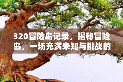 320冒险岛记录,揭秘冒险岛,一场充满未知与挑战的旅程(标题) 320冒险岛记录,揭秘冒险岛,一场充满未知与挑战的旅程(标题)
