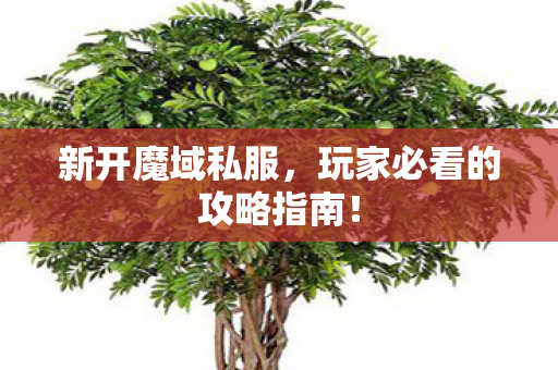 新开魔域私服，玩家必看的攻略指南！