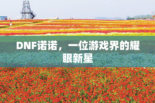 DNF诺诺，一位游戏界的耀眼新星