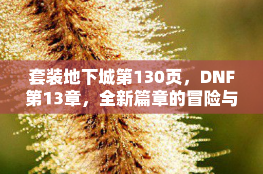 套装地下城第130页，DNF第13章，全新篇章的冒险与挑战