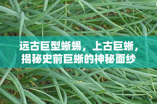 远古巨型蜥蜴，上古巨蜥，揭秘史前巨蜥的神秘面纱