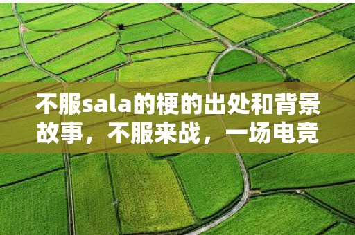 不服sala的梗的出处和背景故事,不服来战,一场电竞的荣耀与挑战 不服sala的梗的出处和背景故事,不服来战,一场电竞的荣耀与挑战