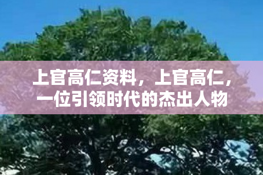 上官高仁资料，上官高仁，一位引领时代的杰出人物