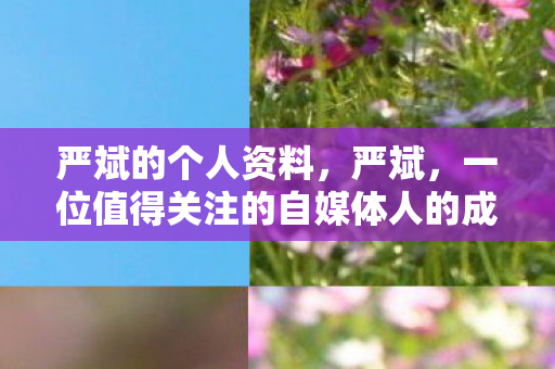 严斌的个人资料，严斌，一位值得关注的自媒体人的成长之路