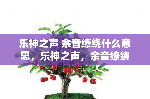 乐神之声 余音缭绕什么意思，乐神之声，余音缭绕