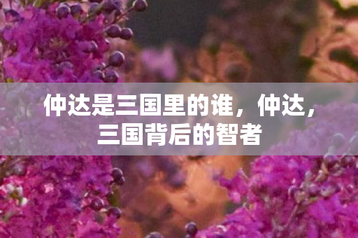仲达是三国里的谁,仲达,三国背后的智者 仲达是三国里的谁,仲达,三国背后的智者