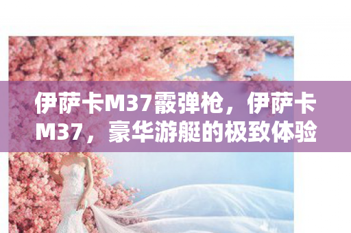 伊萨卡M37霰弹枪，伊萨卡M37，豪华游艇的极致体验