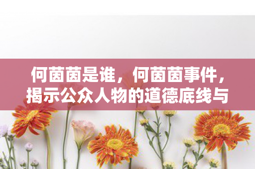 何茵茵是谁，何茵茵事件，揭示公众人物的道德底线与社会责任