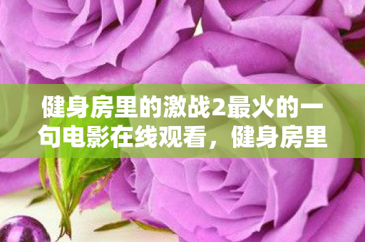 健身房里的激战2最火的一句电影在线观看，健身房里的激战，从银幕到现实，我们如何被激励前行