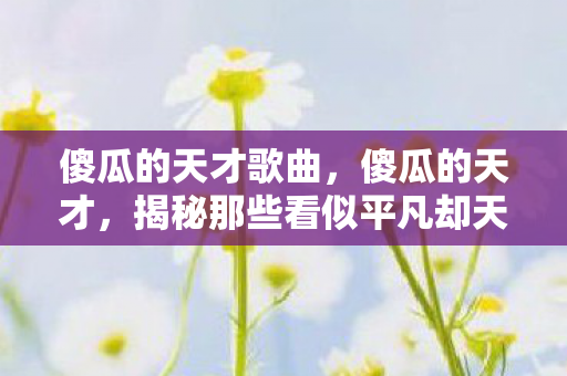 傻瓜的天才歌曲，傻瓜的天才，揭秘那些看似平凡却天赋异禀的人的故事